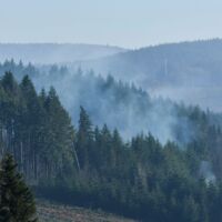 Waldbrand durch Kinder ausgelöst: 500 Quadratmeter Wald in Flammen