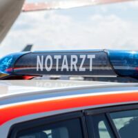 Tödlicher Forstunfall in der Steiermark: 69-Jähriger von Baum erschlagen