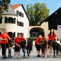 330 Tiere gerettet: Gut Aiderbichl öffnet neuen Sternenhof