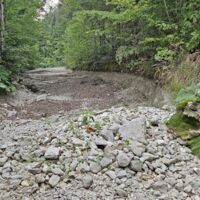 722 Fische gerettet: Hitze zwingt zu Notabfischung in Ebensee