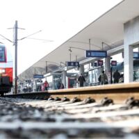 Andorf: Drei Jungrinder bei Zusammenstoß mit Zug getötet