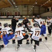 Ice Tigers fixieren Playoff-Einzug