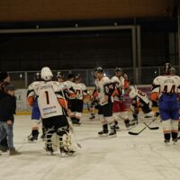 Ice Tigers starten stark in die Playoffs