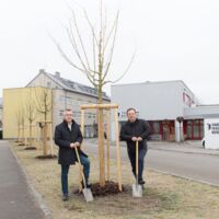 Traun pflanzt 45 Bäume im Stadtgebiet