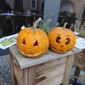Halloween für Familien im Museum Lauriacum