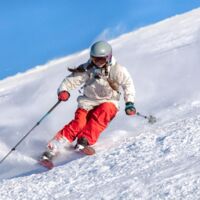 Drama auf Skipiste: Skifahrerin (35) von Wildtier angegriffen