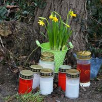 Tragödie in Niederösterreich: Mann (53) stirbt bei Kreuzung im Bezirk Tulln