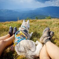 Tragödie in Vorarlberg: Hund führt zu totem Wanderer (65)