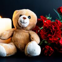 Tragödie: Kind (11) stirbt nach Kontakt mit Wildtier