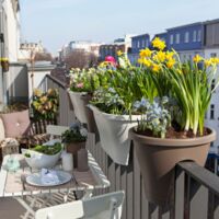Balkon stürzt plötzlich ein: Frau stirbt nach vier Meter tiefem Sturz
