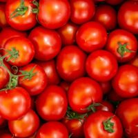 Körpergewicht in Tomaten: Spanische Weltmeister erhalten verrücktes Geschenk