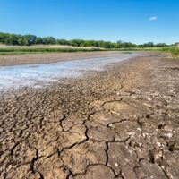 Dürre: Sorgt ausgetrockneter Rhein für Teuerung?