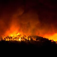 Belgien kämpft gegen größten Waldbrand seiner Geschichte