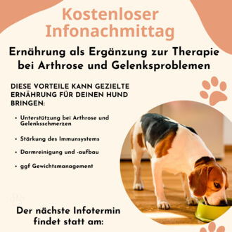 Kostenlose Infoveranstaltung Ernährung für Hunde bei Arthrose
