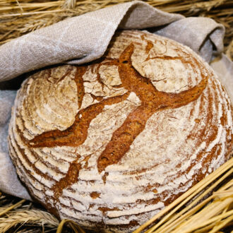 Brot & Gebäck aus dem eigenen Backofen - Mit gelingsicheren Rezepten Brote selber machen